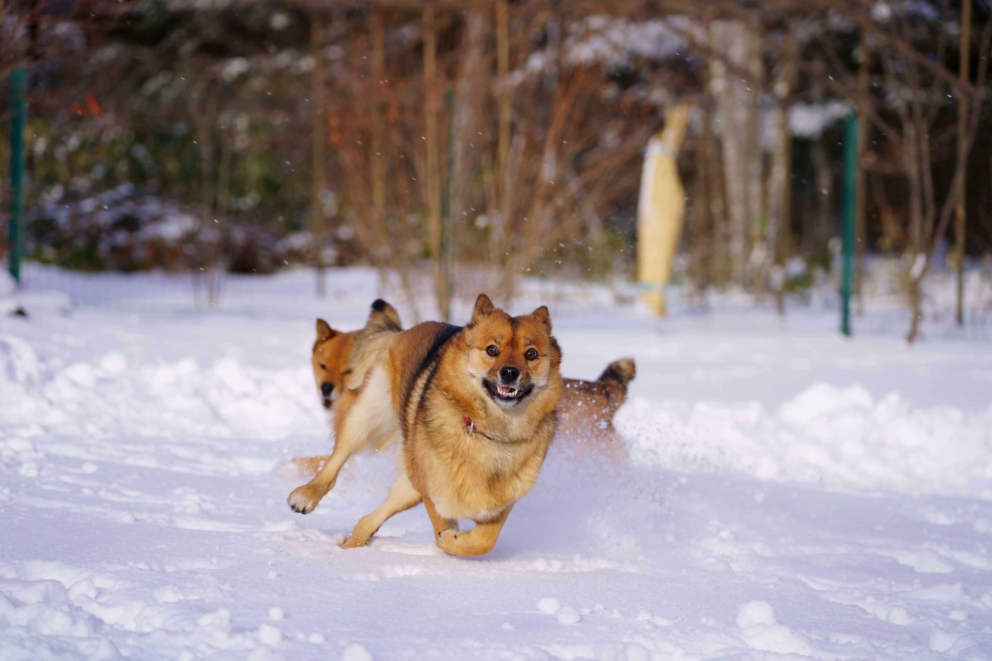 sudacoffee／珈琲工房須田